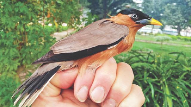 সাংবাদিকদের মোটরসাইকেল চলাচল নিষেধাজ্ঞা তুলে নিল ইসি