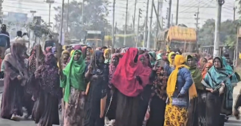 কুষ্টিয়ায় আমির হামজার বিচারের দাবিতে ঝাড়ু মিছিল, ভাইরাল বক্তব্য ঘিড়ে উত্তেজনা