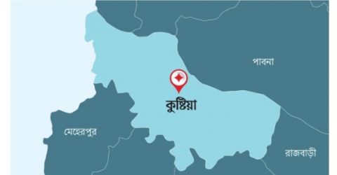 কুষ্টিয়ায় পুকুরে মাছ ধরতে গিয়ে মিলল নবজাতকের মরদেহ