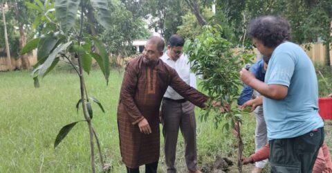 কুষ্টিয়ায় ওজোপাডিকোর উদ্যোগে বৃক্ষরোপণ কর্মসূচি পালিত