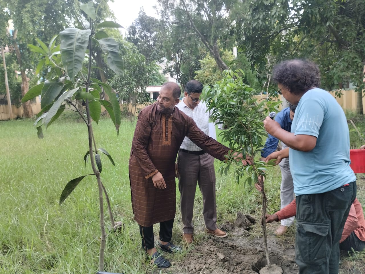 কুষ্টিয়ায় ওজোপাডিকোর উদ্যোগে বৃক্ষরোপণ কর্মসূচি পালিত